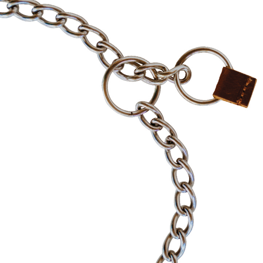 Huntlea Stainless Steel Dog Check Chains