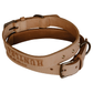 Impala Studded Dog Leather Collar