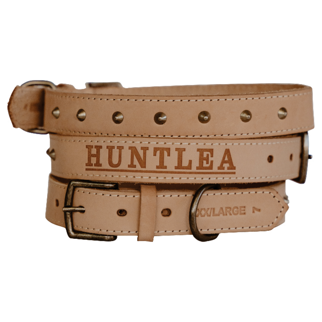 Impala Studded Dog Leather Collar