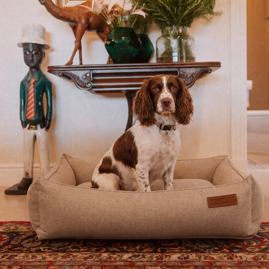 Huntlea Suburban Bolster Dog Bed