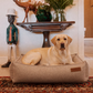 Huntlea Suburban Bolster Dog Bed