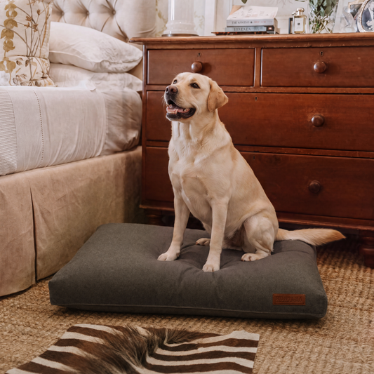 Huntlea Suburban Matlow Dog Bed
