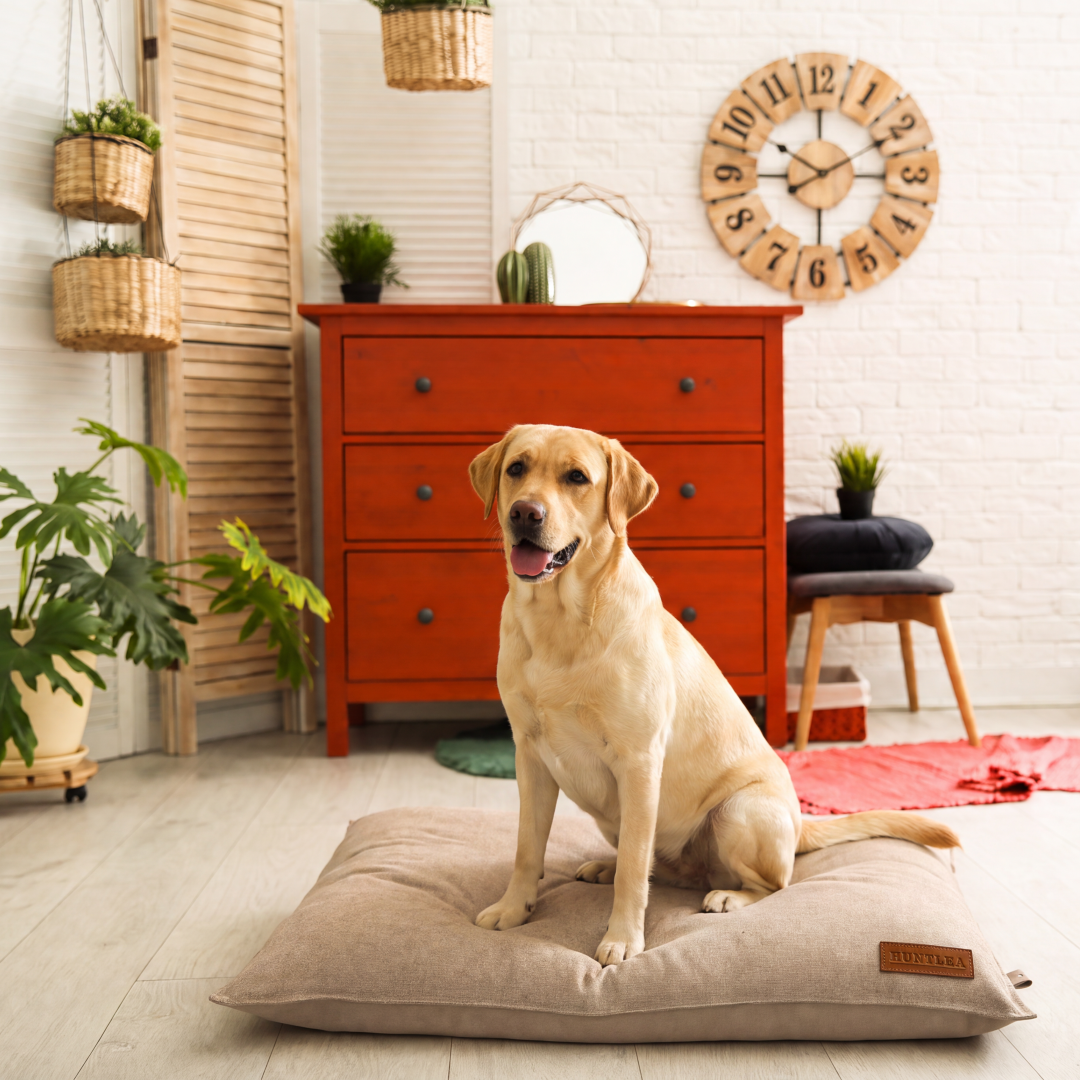 Huntlea Suburban Pillow Dog Bed