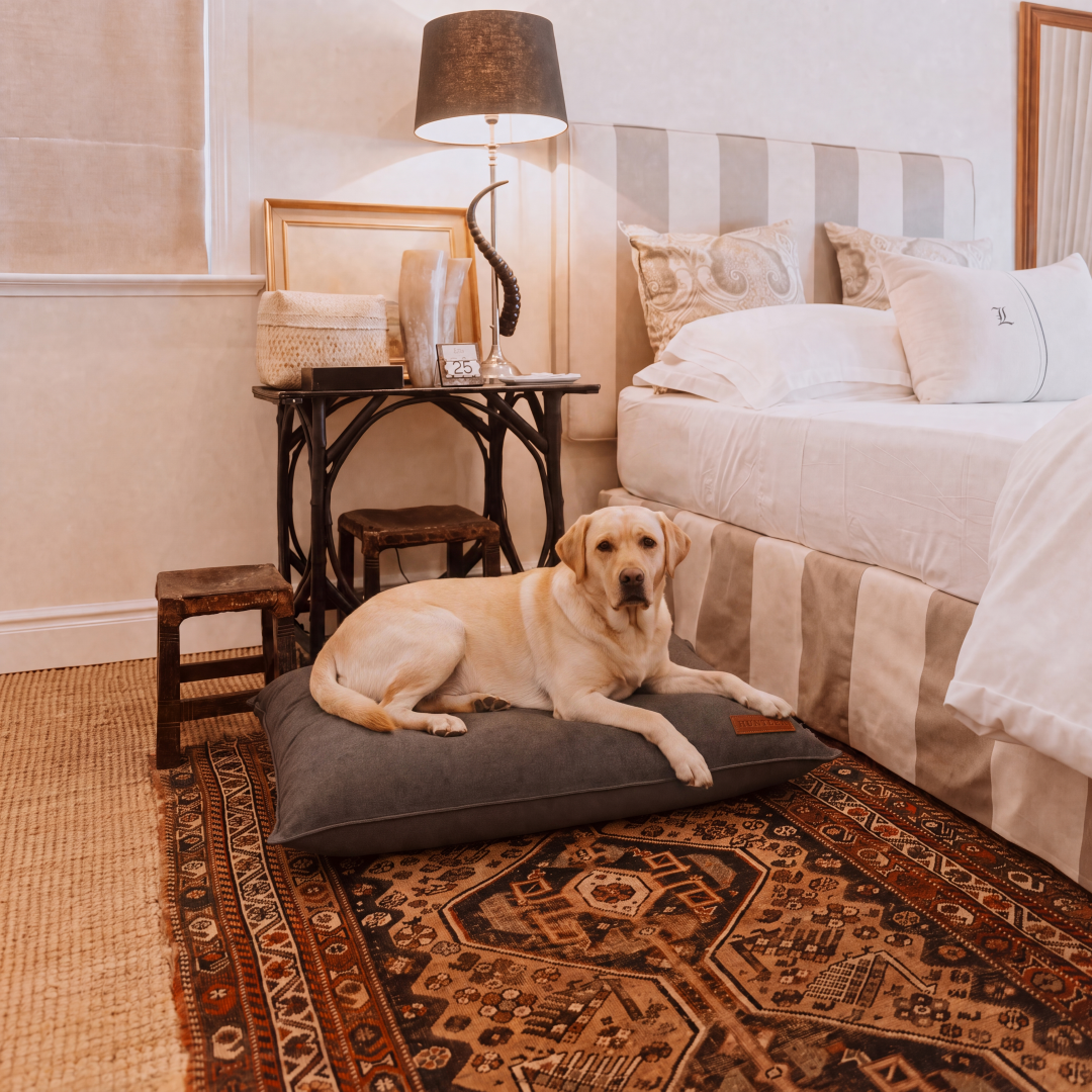 Huntlea Suburban Pillow Dog Bed