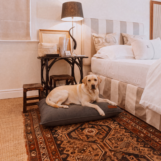 Huntlea Suburban Pillow Dog Bed