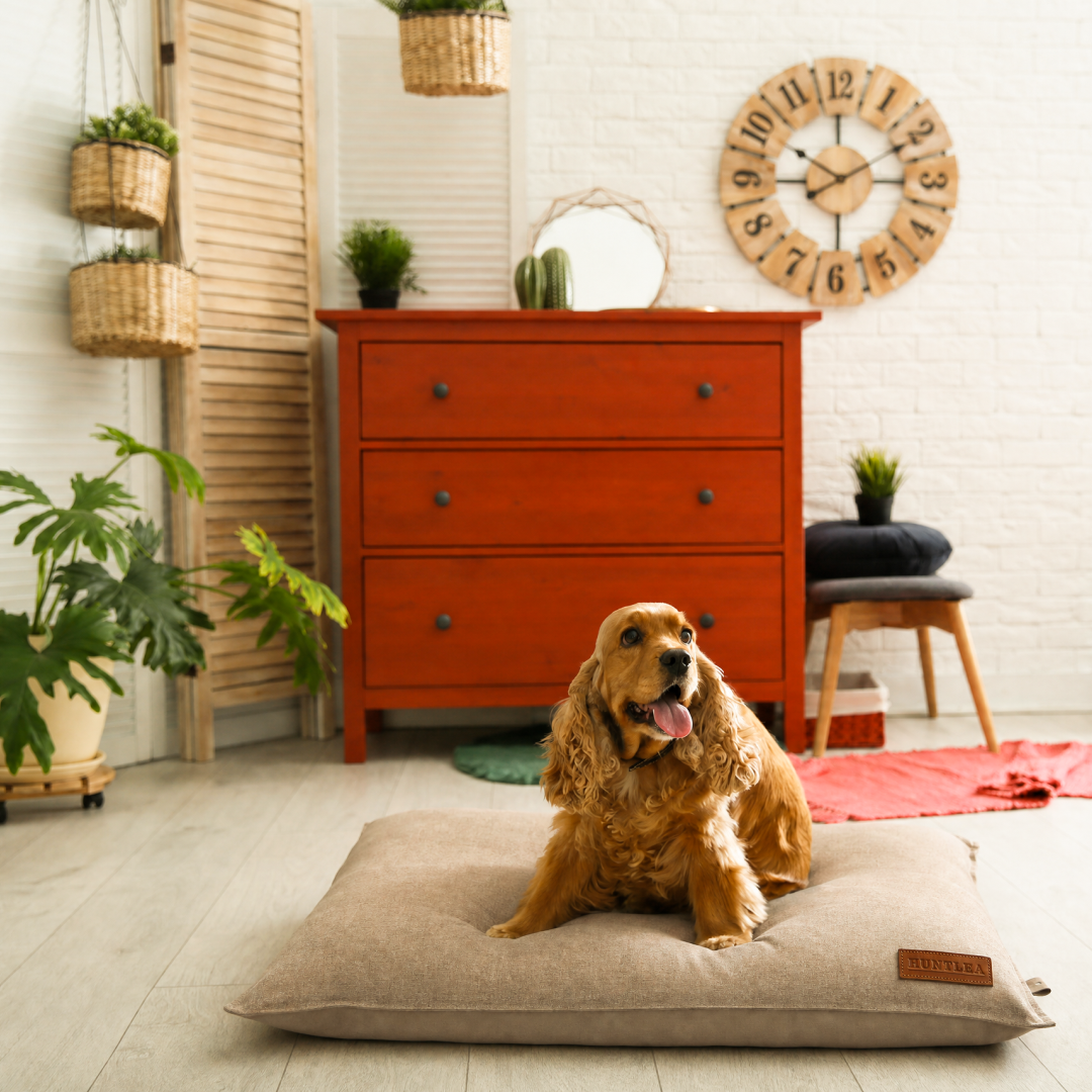 Huntlea Suburban Pillow Dog Bed
