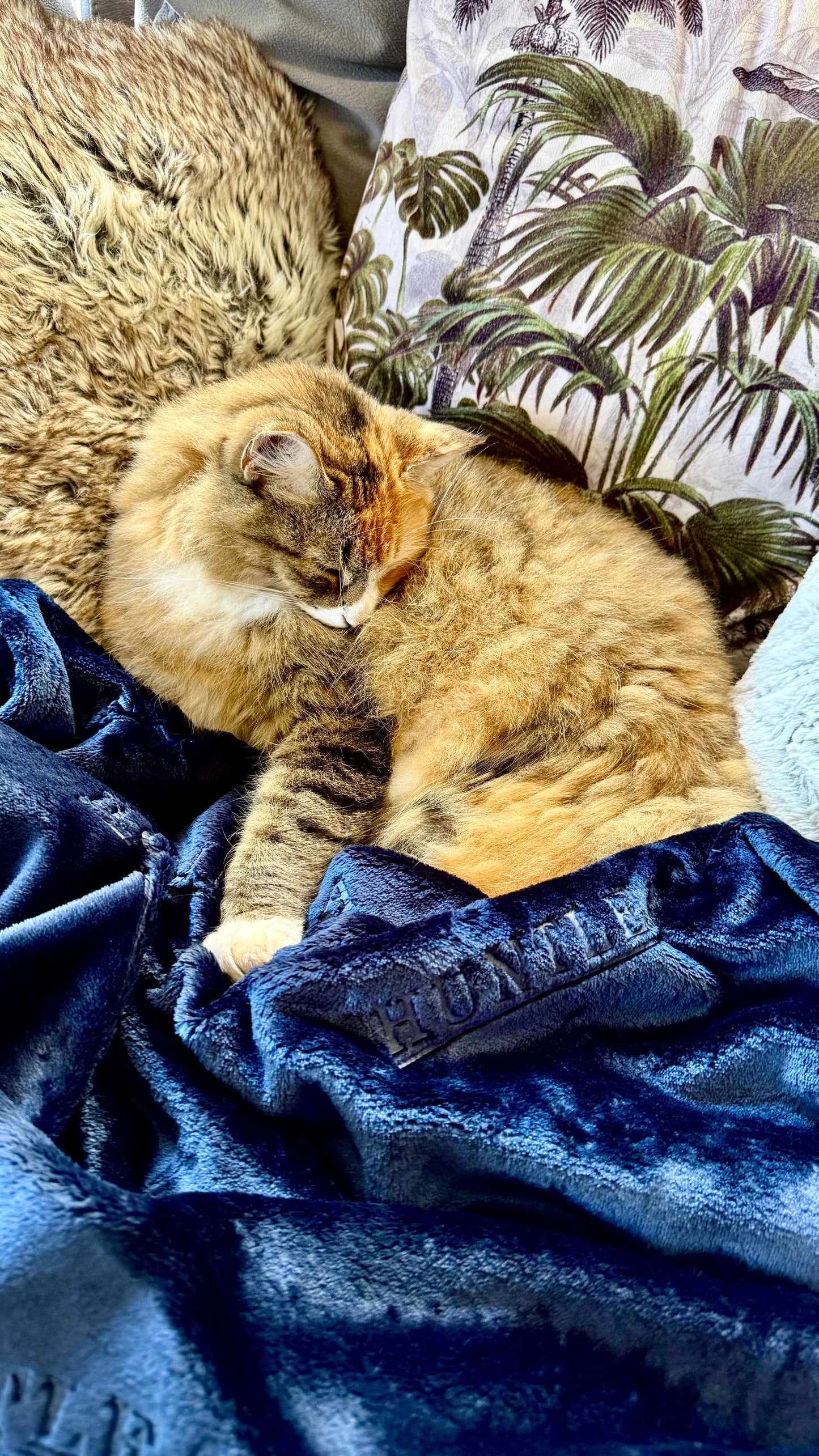 Huntlea Flannel Fleece Cat Blanket