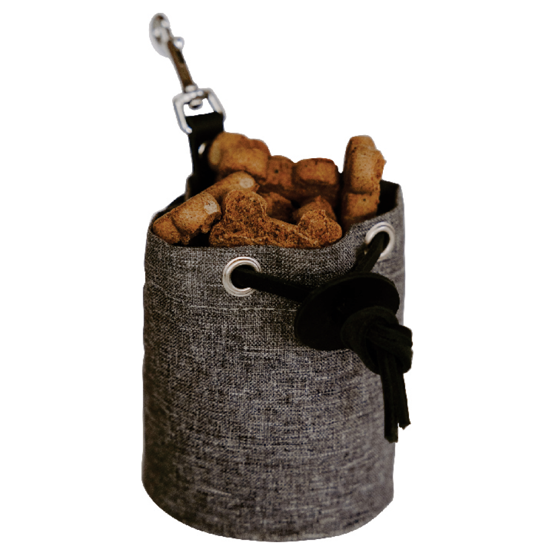 Huntlea Explore Dog Treat Bag