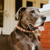 Beaded Dog Collar Bow