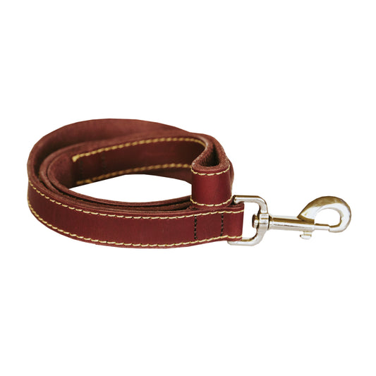 Leopard Dog Leather Lead