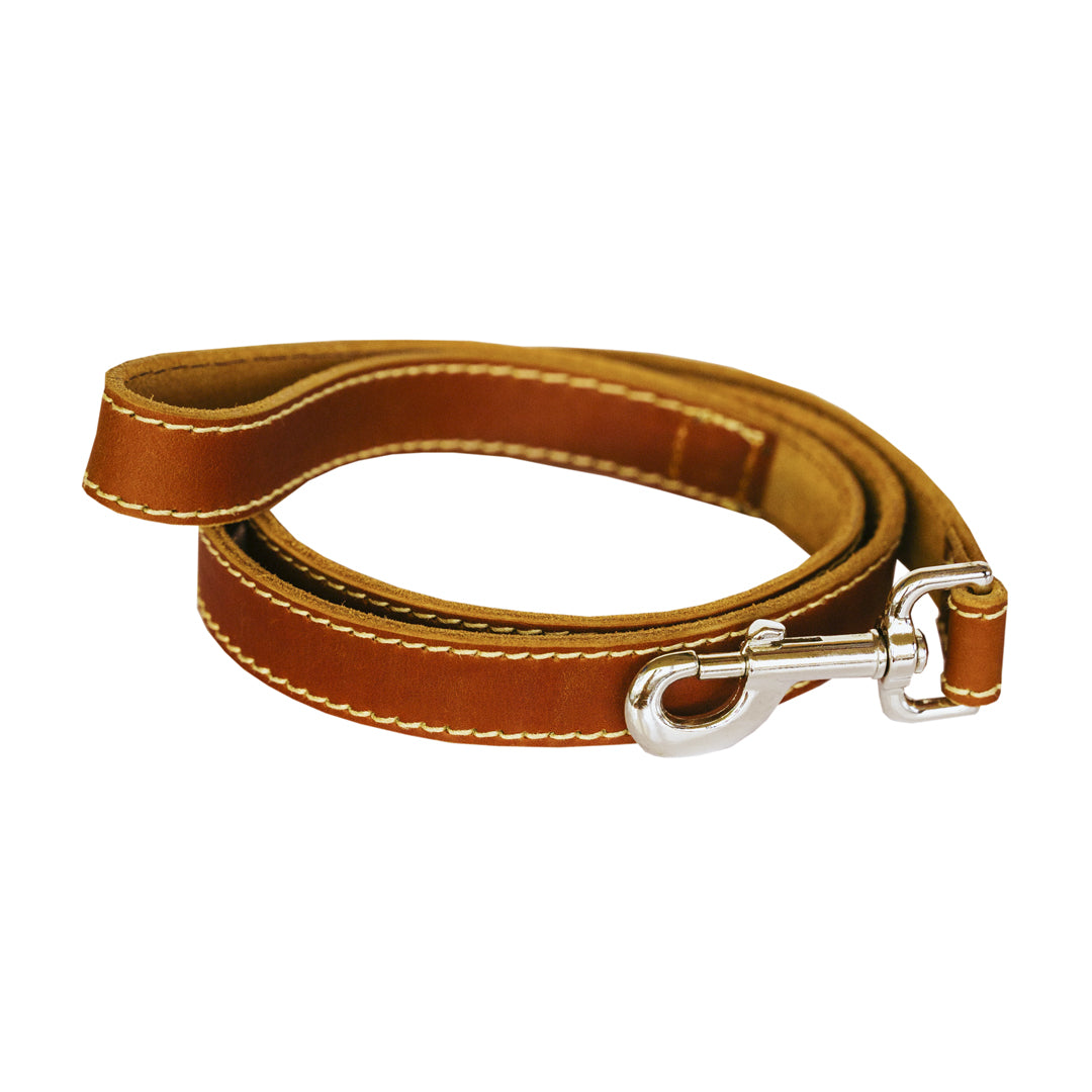 Leopard Dog Leather Lead