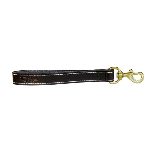 Lion Dog Leather Lead Close Contact