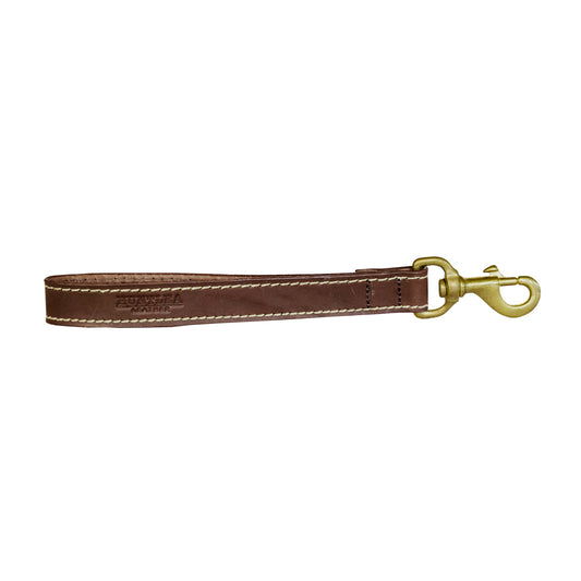Lion Dog Leather Lead Close Contact