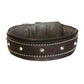 Rhino Dog Leather Collar