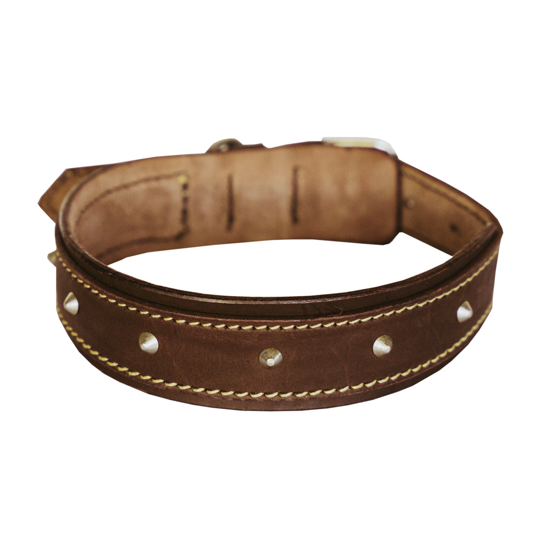 Rhino Dog Leather Collar – HUNTLEA