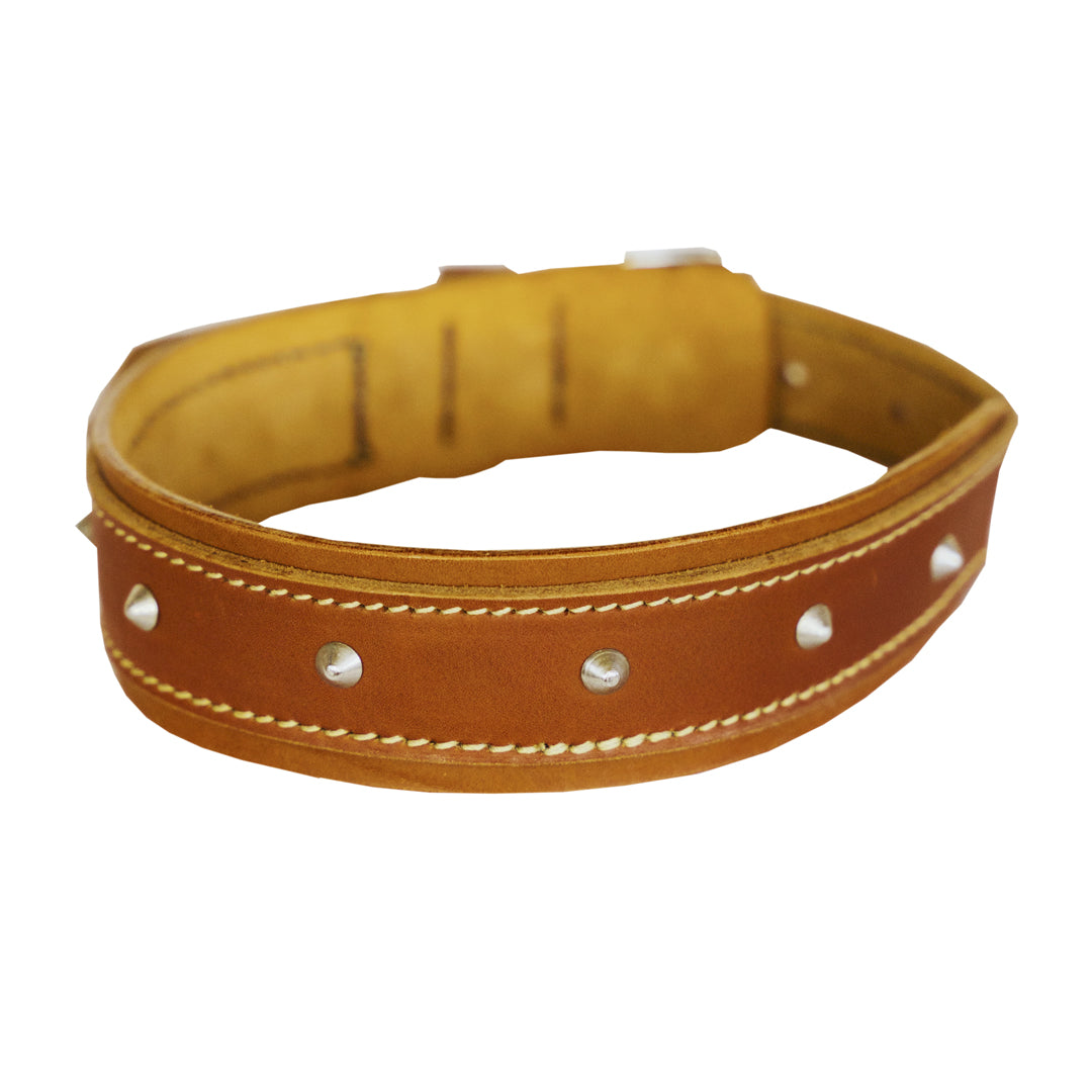 Rhino Dog Leather Collar